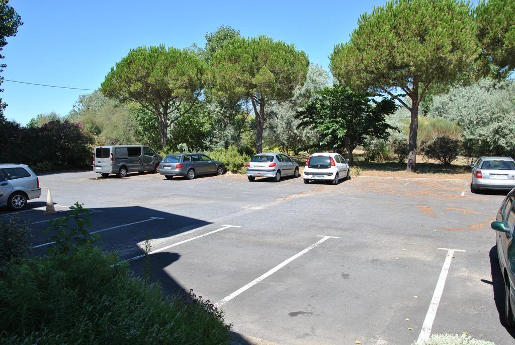 Albizzia Valras-Plage